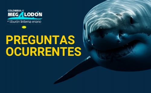 Tiburones Uniandes